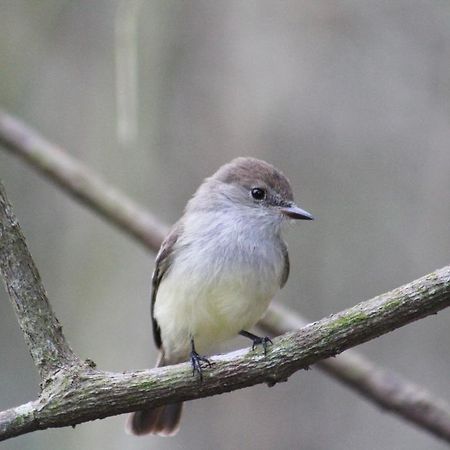 Вилла The Finch House Пуэрто-Айора Экстерьер фото